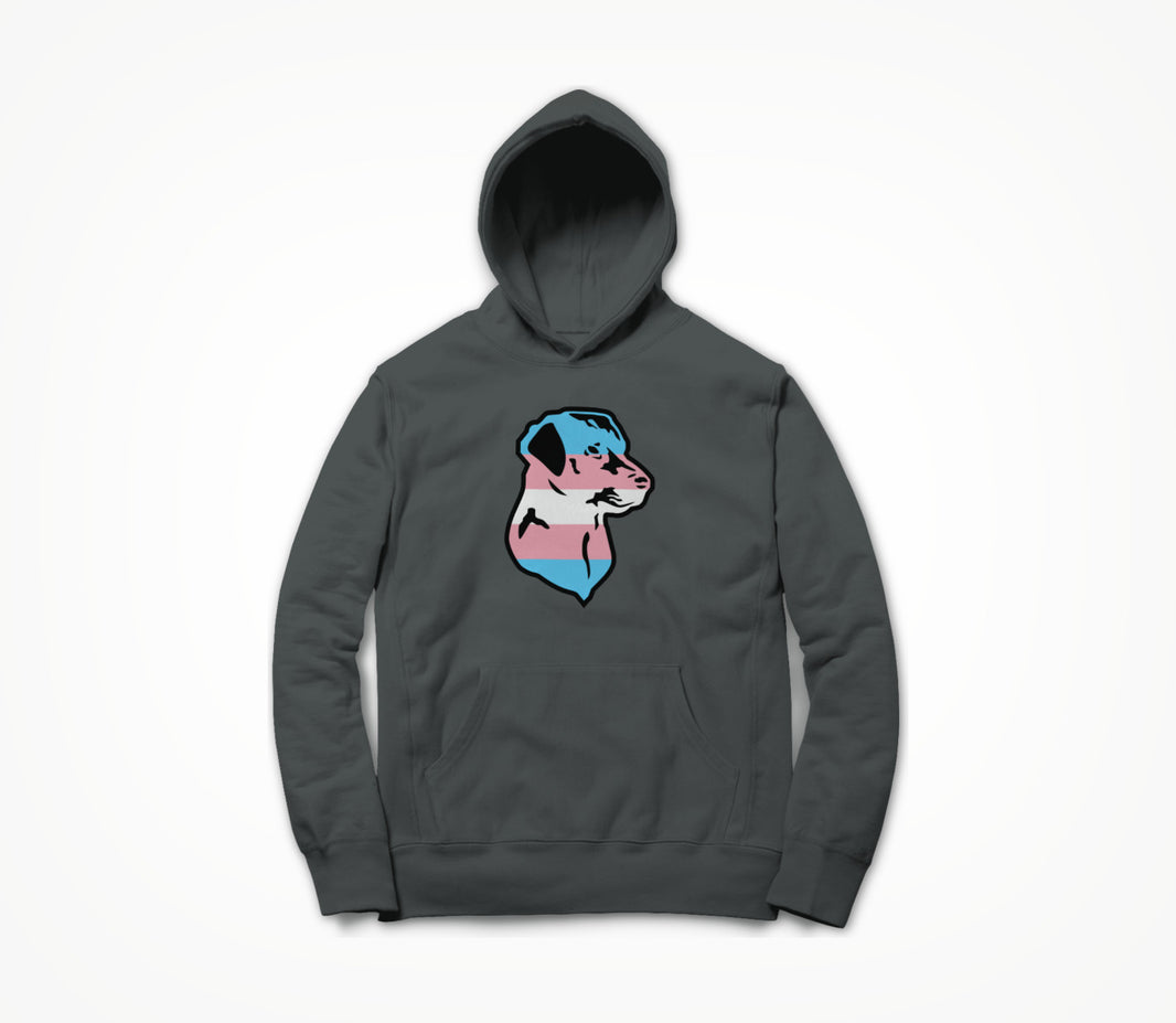Trans Pride Hoodie