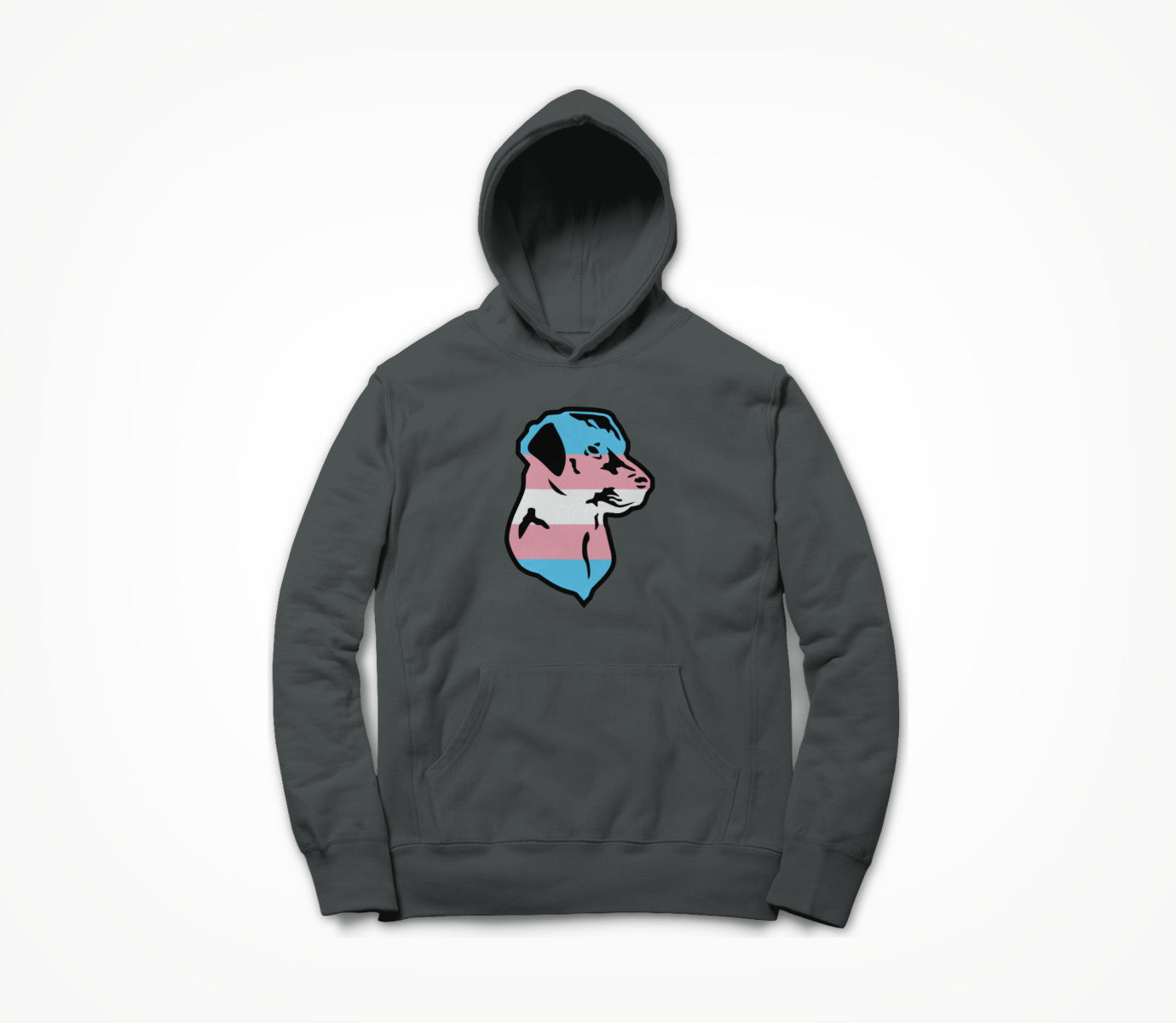 Trans Pride Hoodie