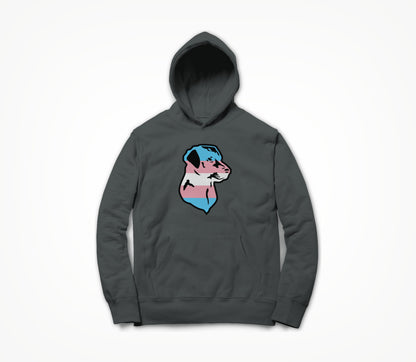 Trans Pride Hoodie