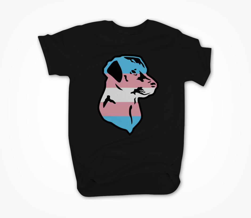 Trans Pride Unisex T-shirt