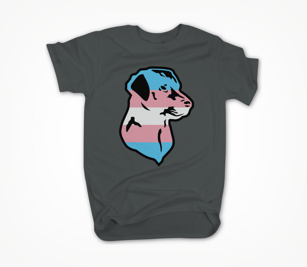 Trans Pride Unisex T-shirt