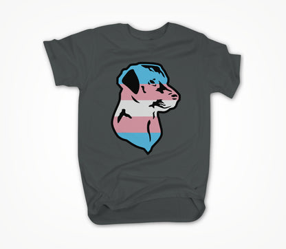 Trans Pride Unisex T-shirt