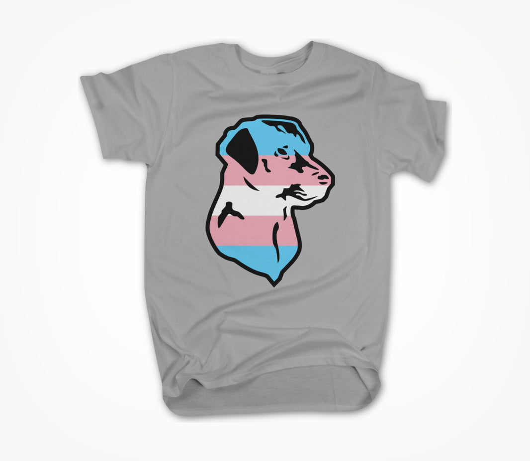 Trans Pride Unisex T-shirt