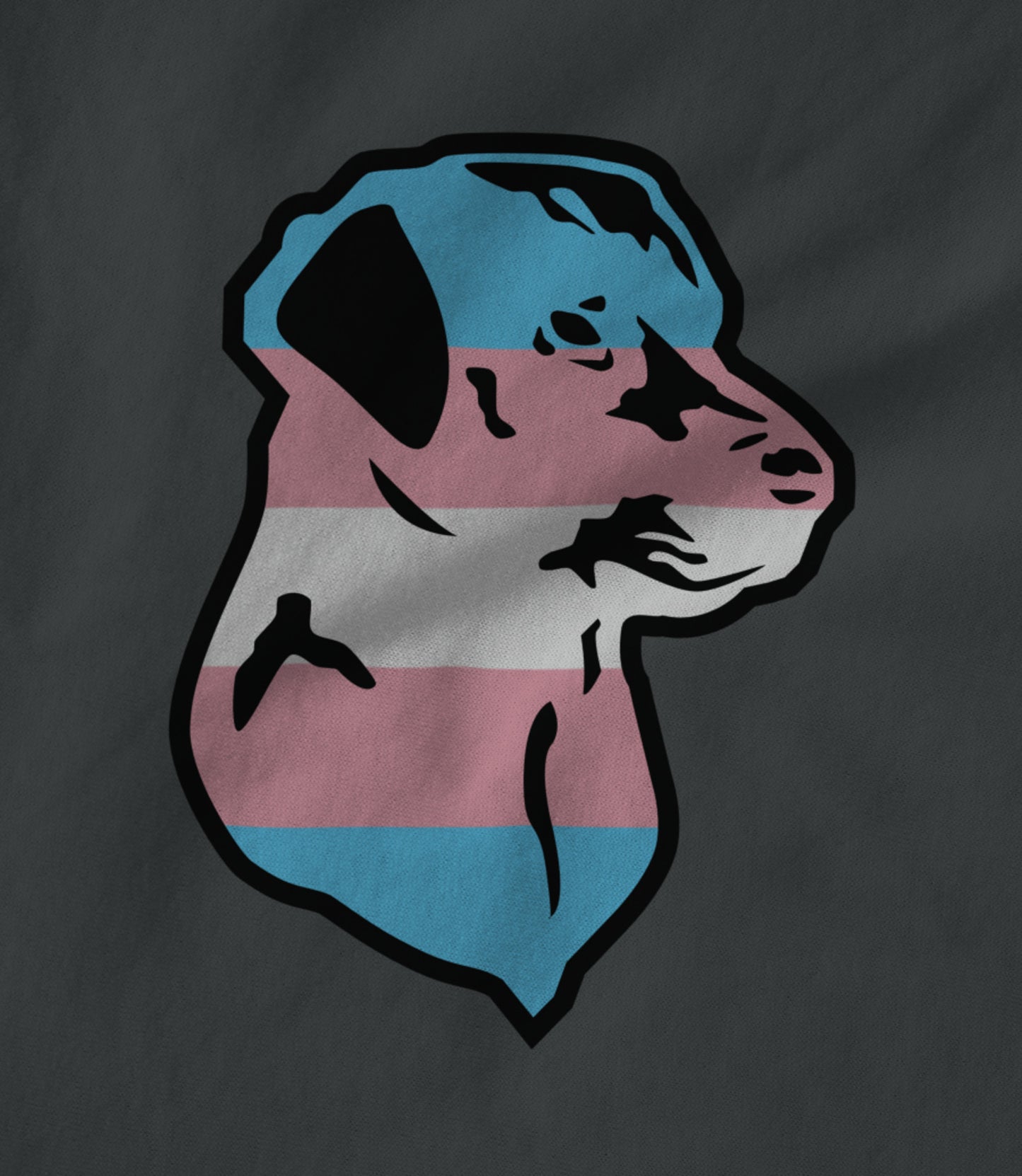 Trans Pride Hoodie