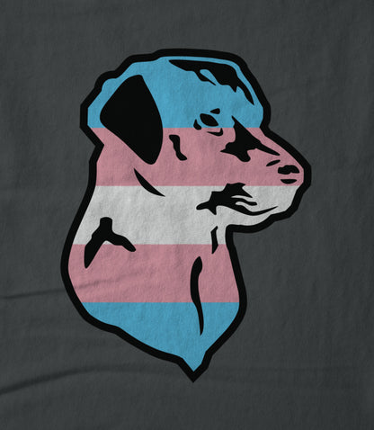 Trans Pride Unisex T-shirt