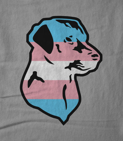 Trans Pride Unisex T-shirt