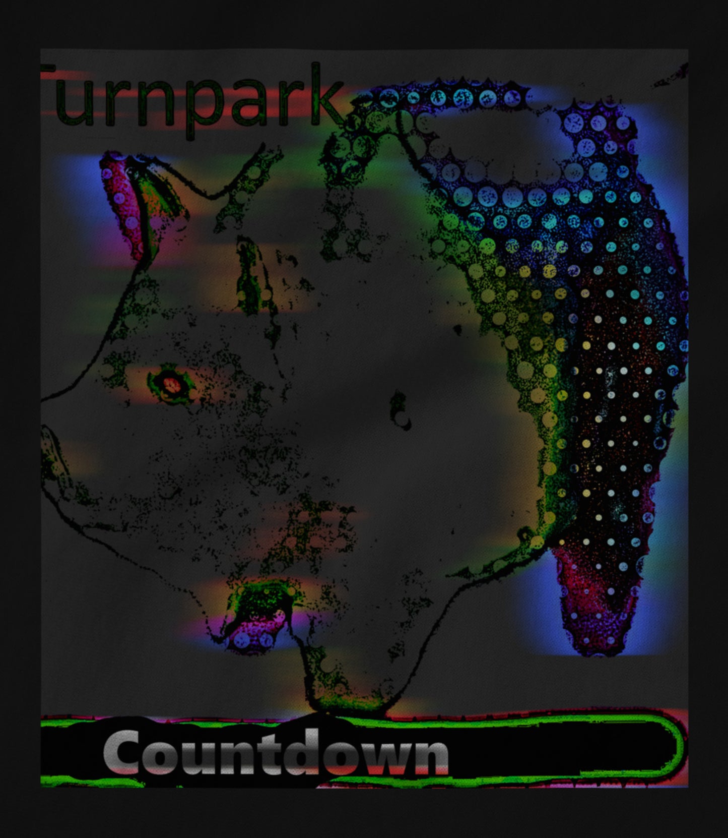 turnpark countdown Hoodie