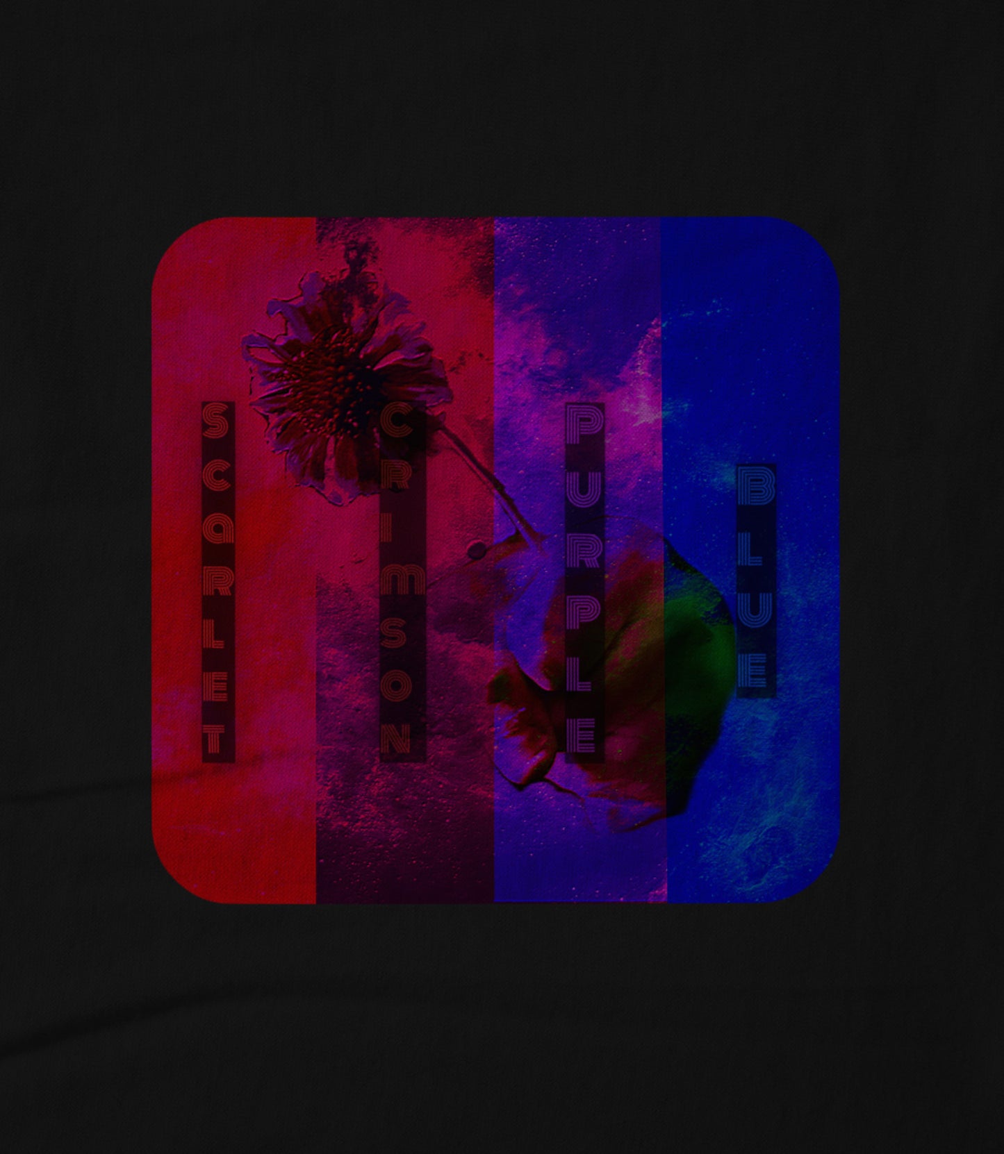Scarlet, Crimson, Purple and Blue Women's T-shirt