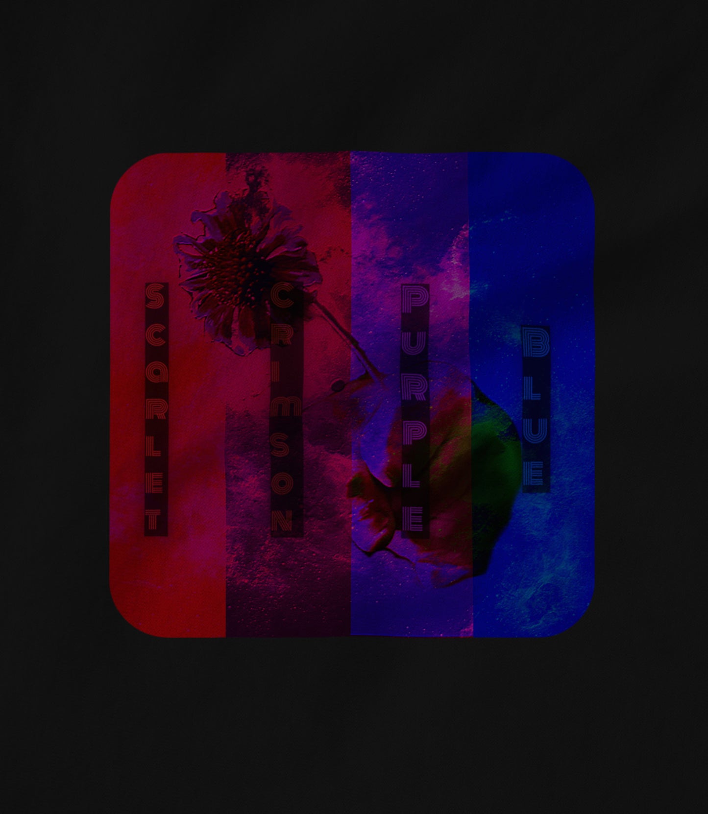 Scarlet, Crimson, Purple and Blue Hoodie