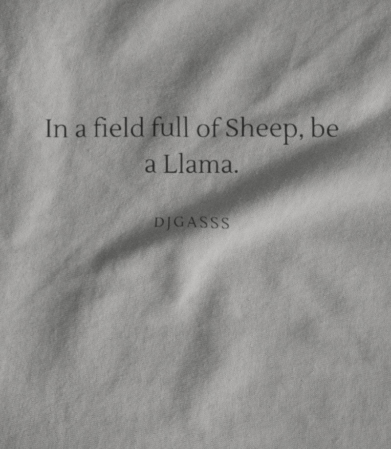 Be a Llama white