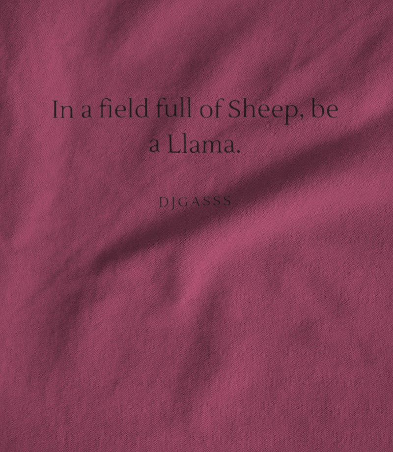 Be a Llama pink