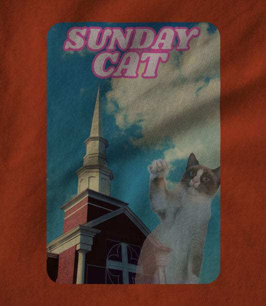 Overly Literal Shirts: Sunday Cat Orange