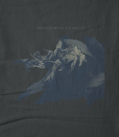 40 Days Without Water Hoodie