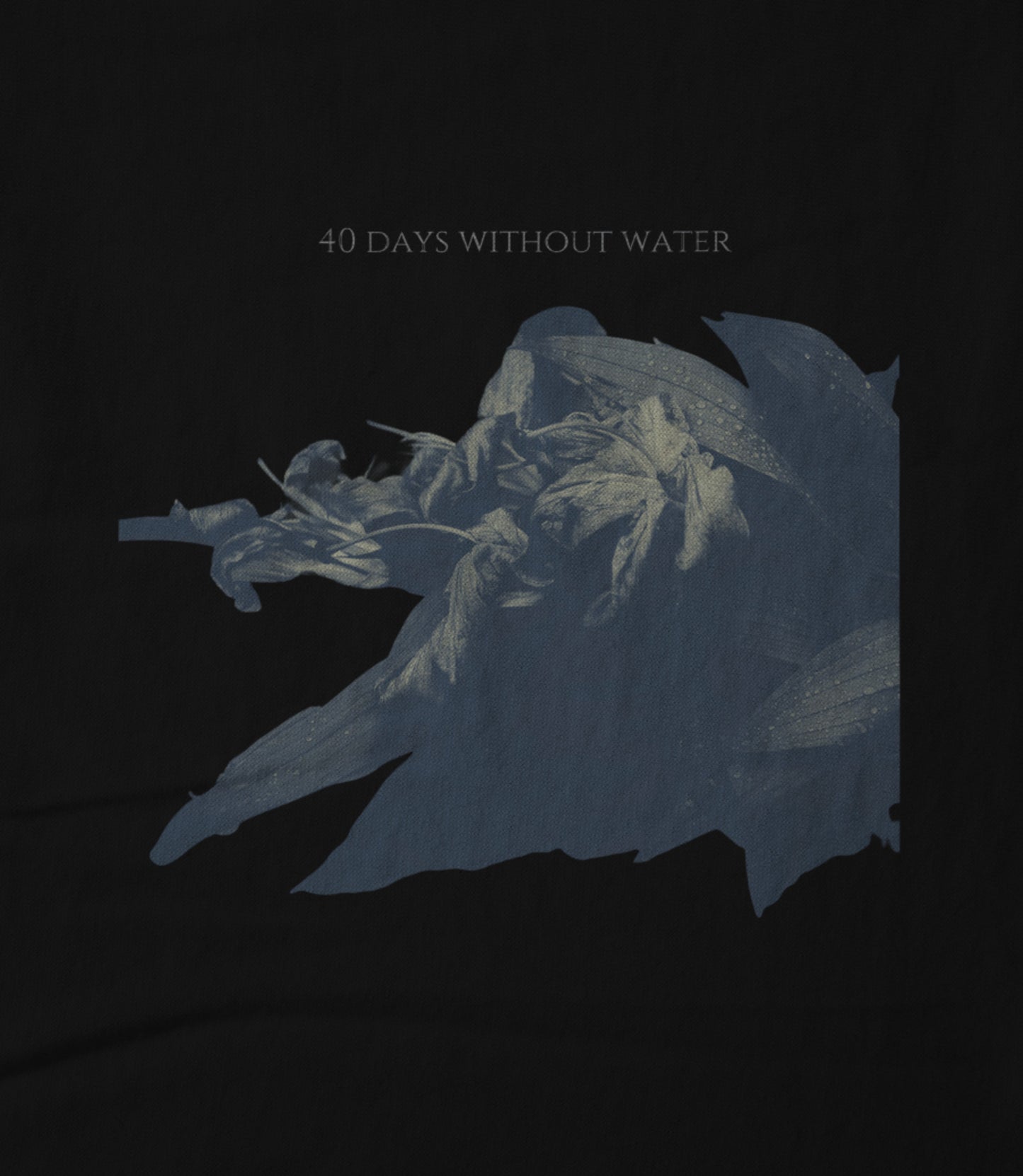 40 Days Without Water Women's T-shirt