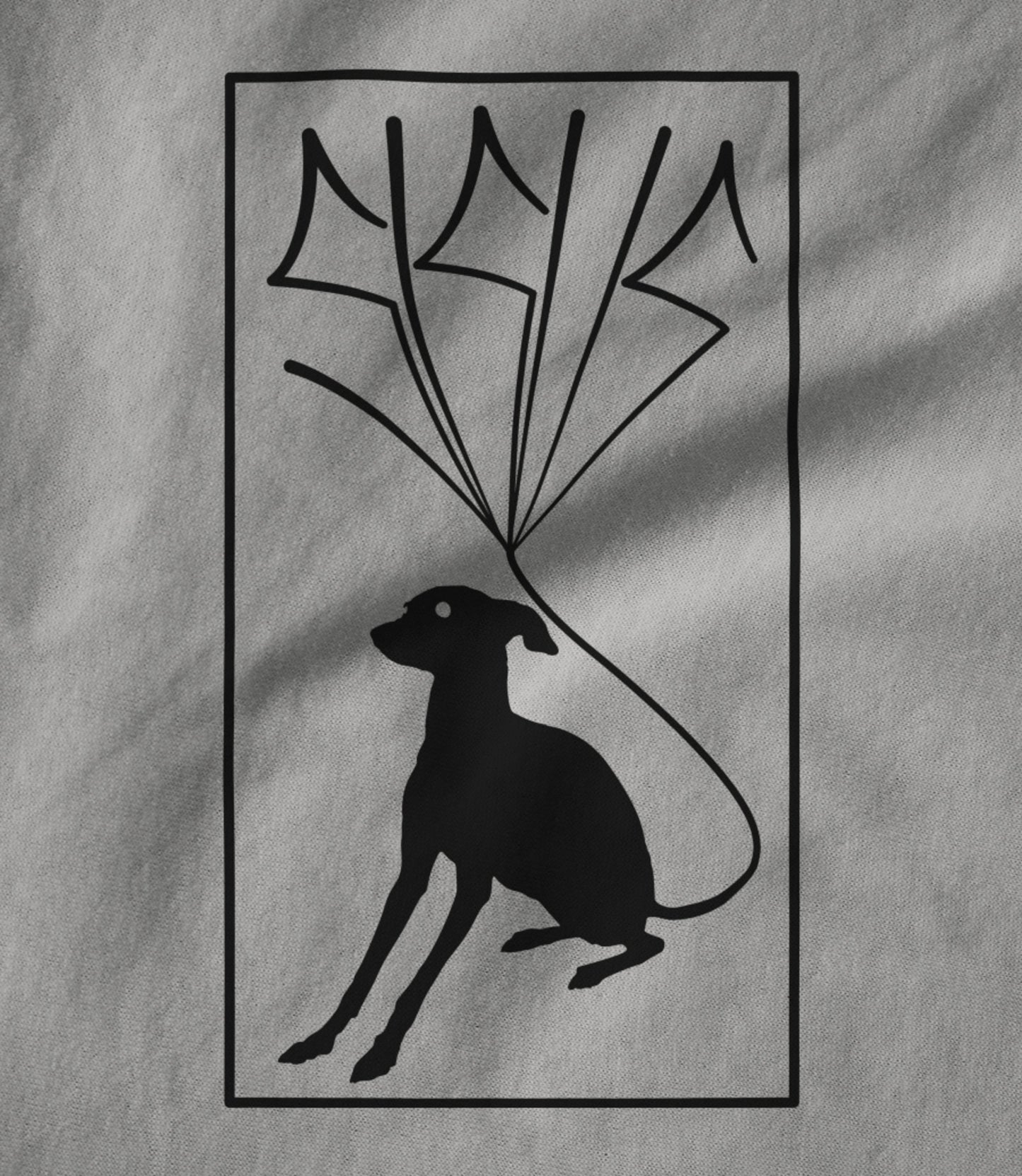 HASSU Unisex T-shirt