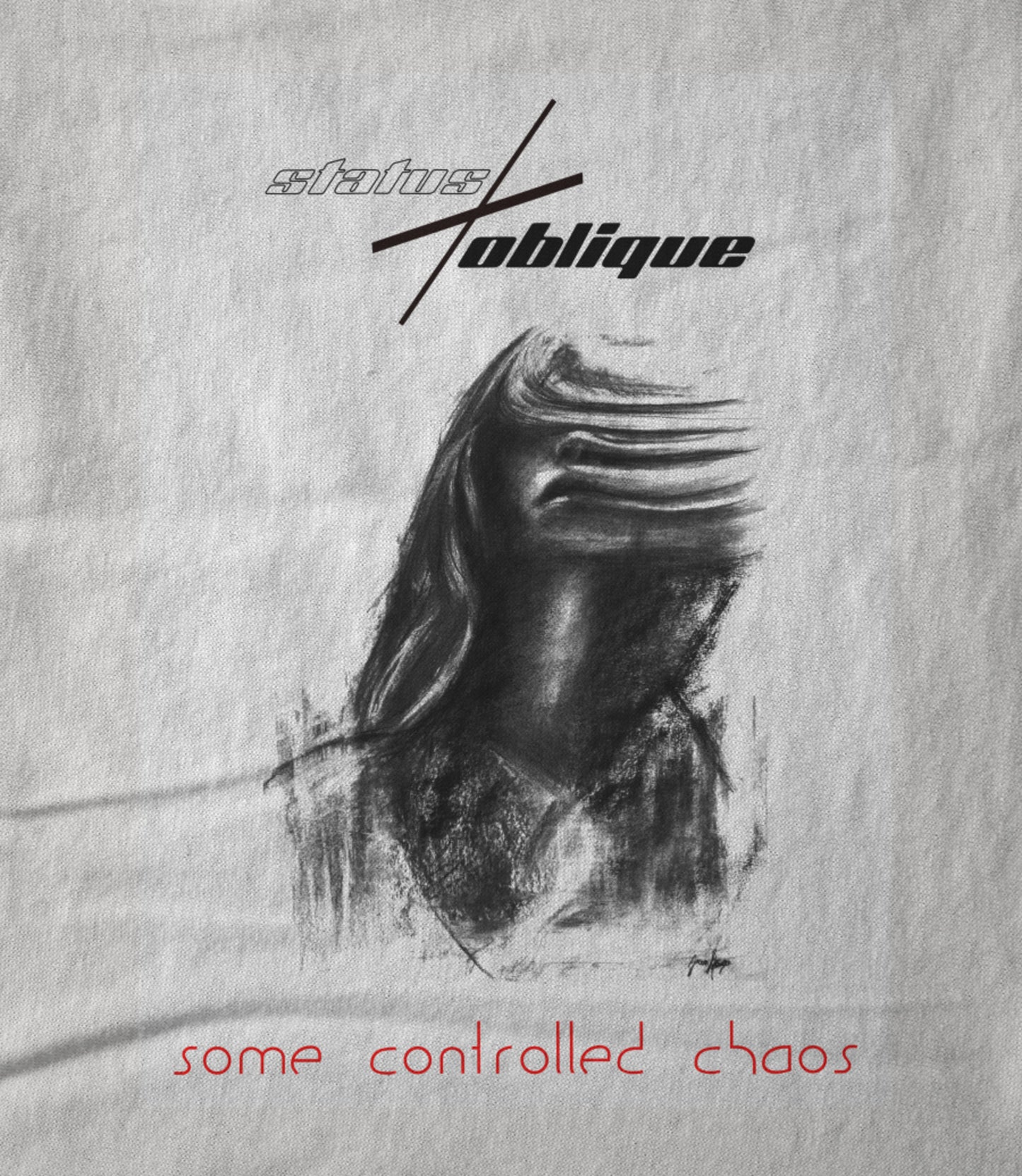 Some Controlled Chaos Women's T-shirt