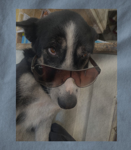 Tula shades