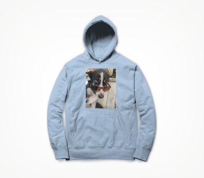 Tula shades Hoodie